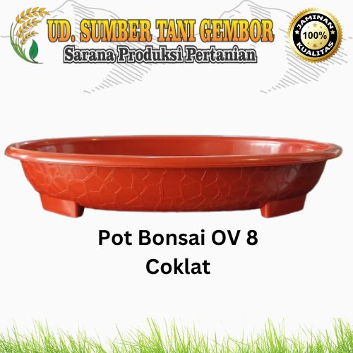 Pot Bonsai OV - Pot Media Tanam - Pot Estetik