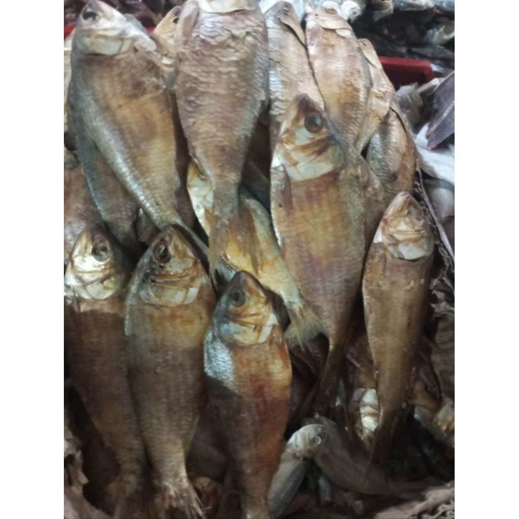 COD ikan asin belo grade A / ikan asin belo kemasan 500 gram