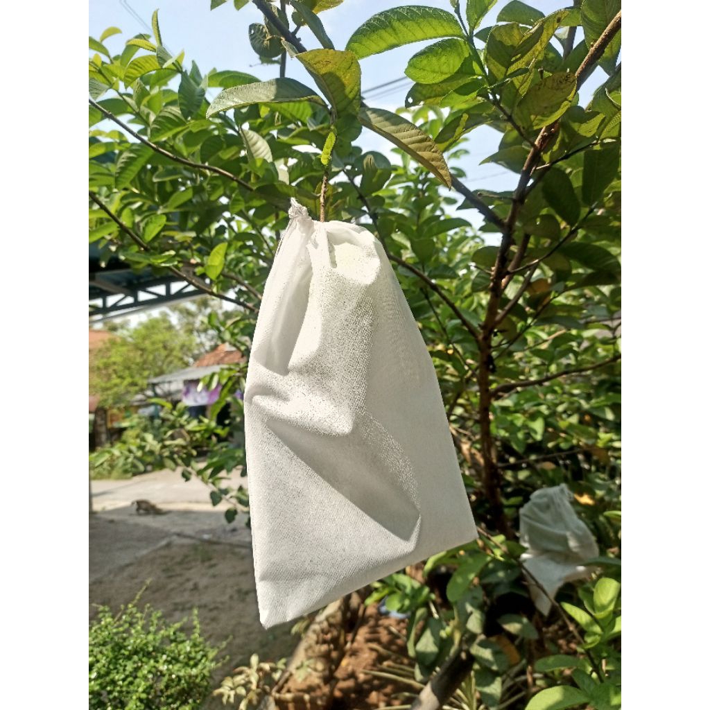 FRUITS COVER, BRONGSONG BUAH ANGGUR, BRONGSONG BUAH JAMBU, BUAH ALPUKAT