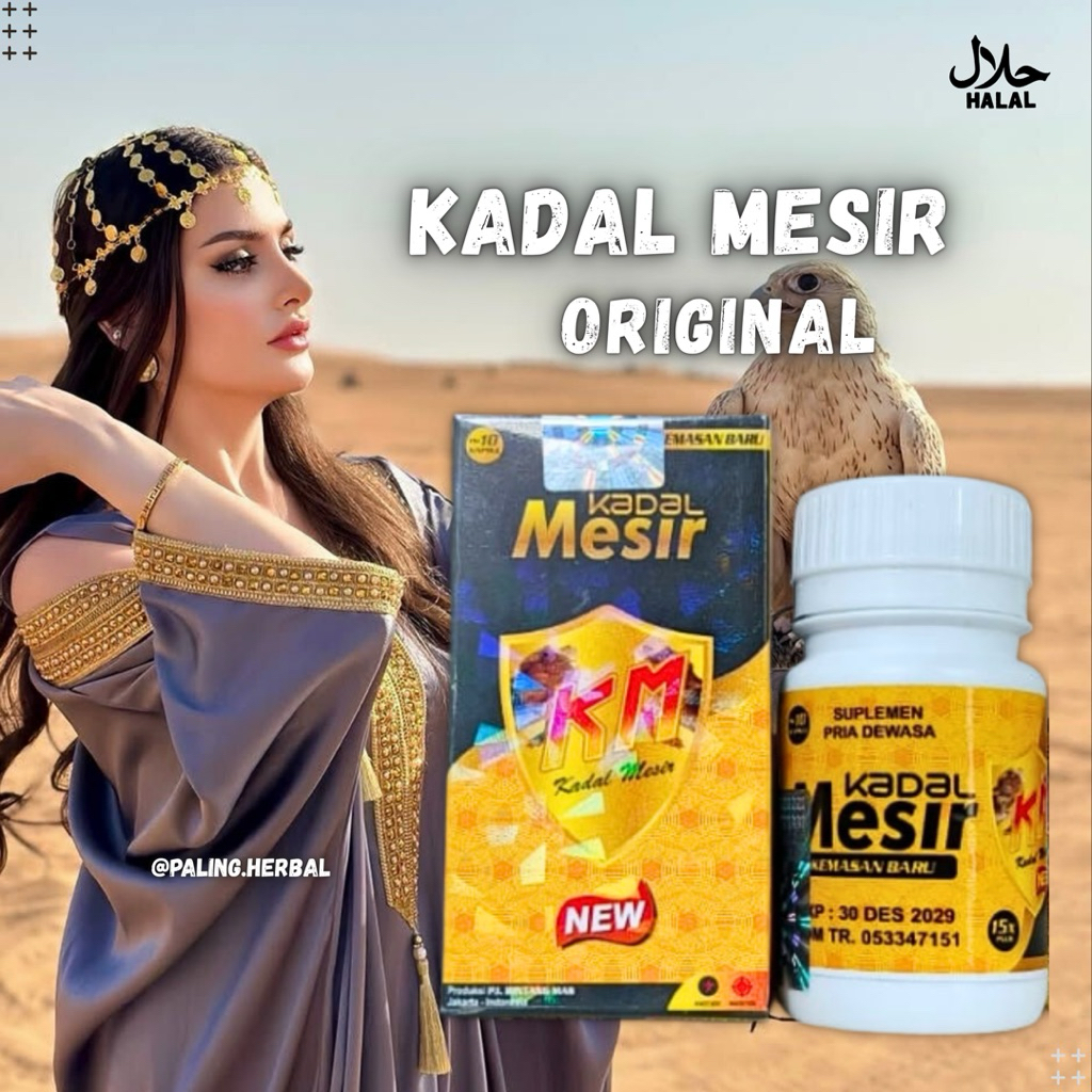 Kadal Mesir Penambah Stamina Kuat Pria Tahan Lama Obat Kuat Ramuan Herbal Arab Original