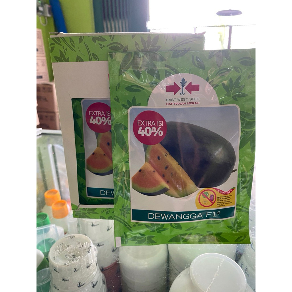 Benih semangka Dewangga