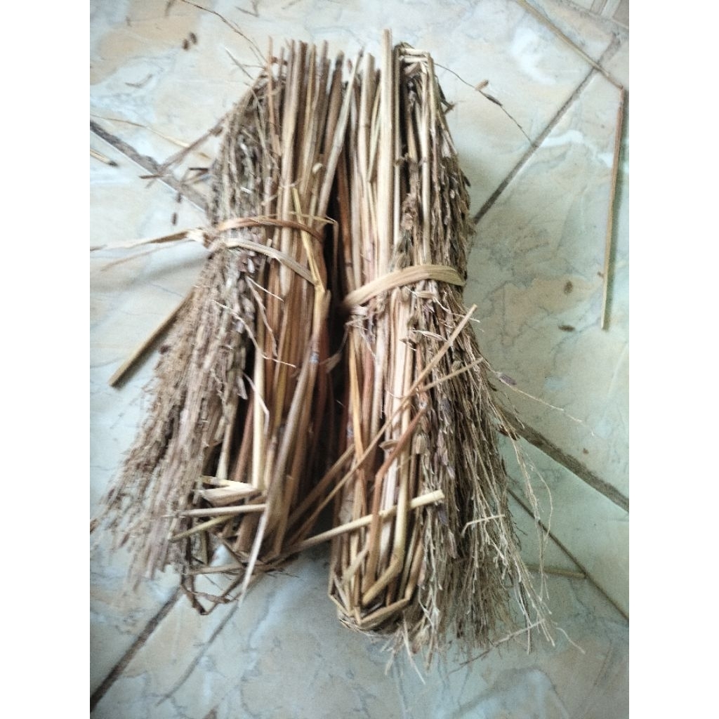 sapu jerami ketan hitam