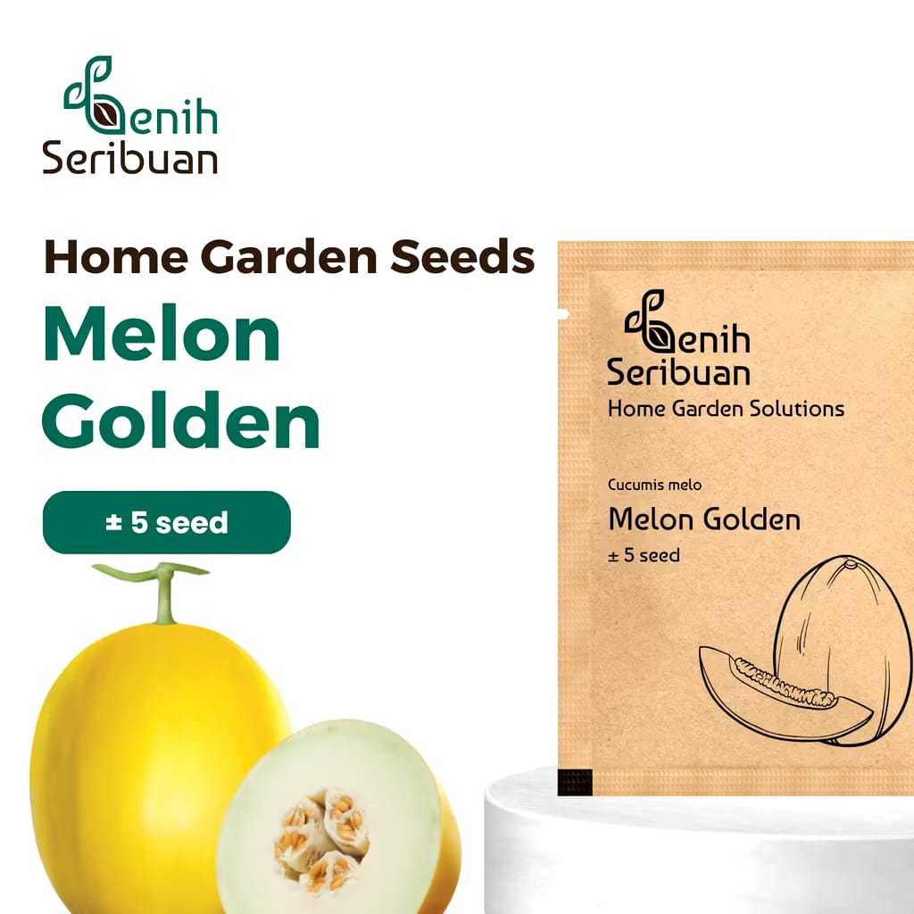 Bibit Buah Melon Golden Kuning F1 Hibrida