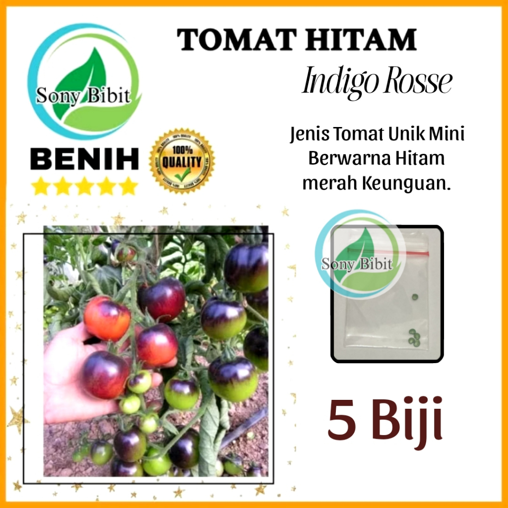 Benih Tomat Hitam Indigo Benih Tomat Unik Import