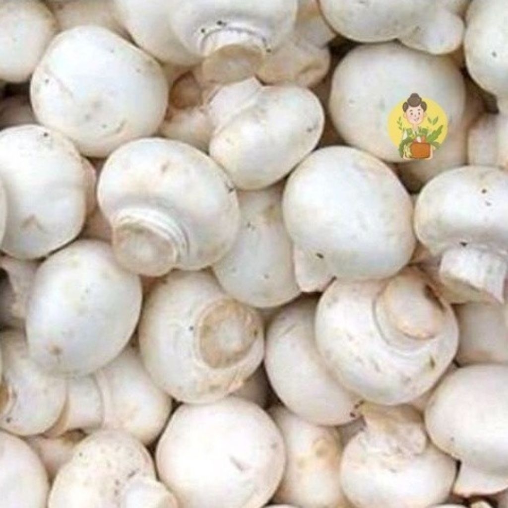 Jamur kancing 1/2 kg Jamur campignon 500gr