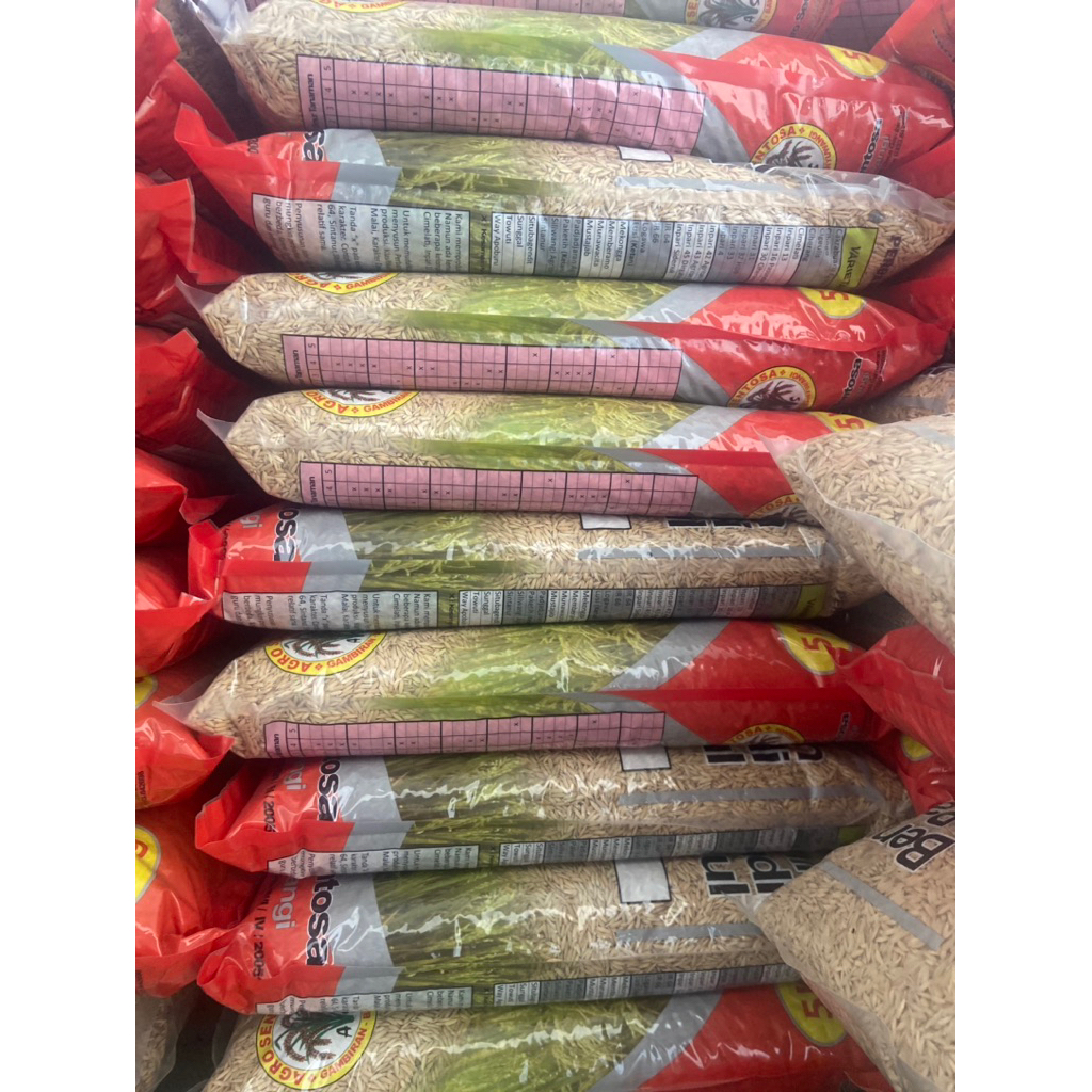 BENIH PADI UNIVERSAL AGRO SENTOSA