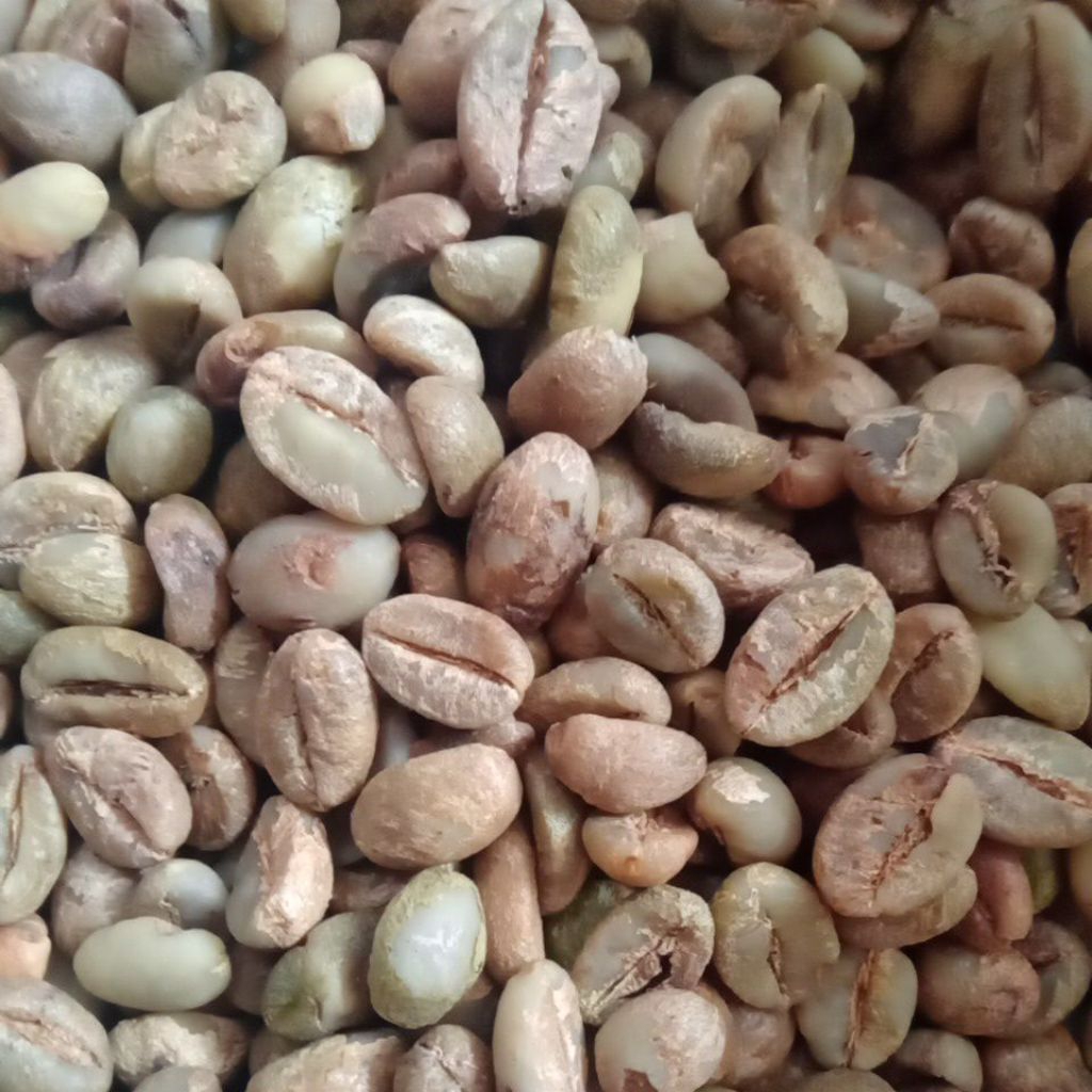 Biji Kopi Robusta Kerinci Grade 1