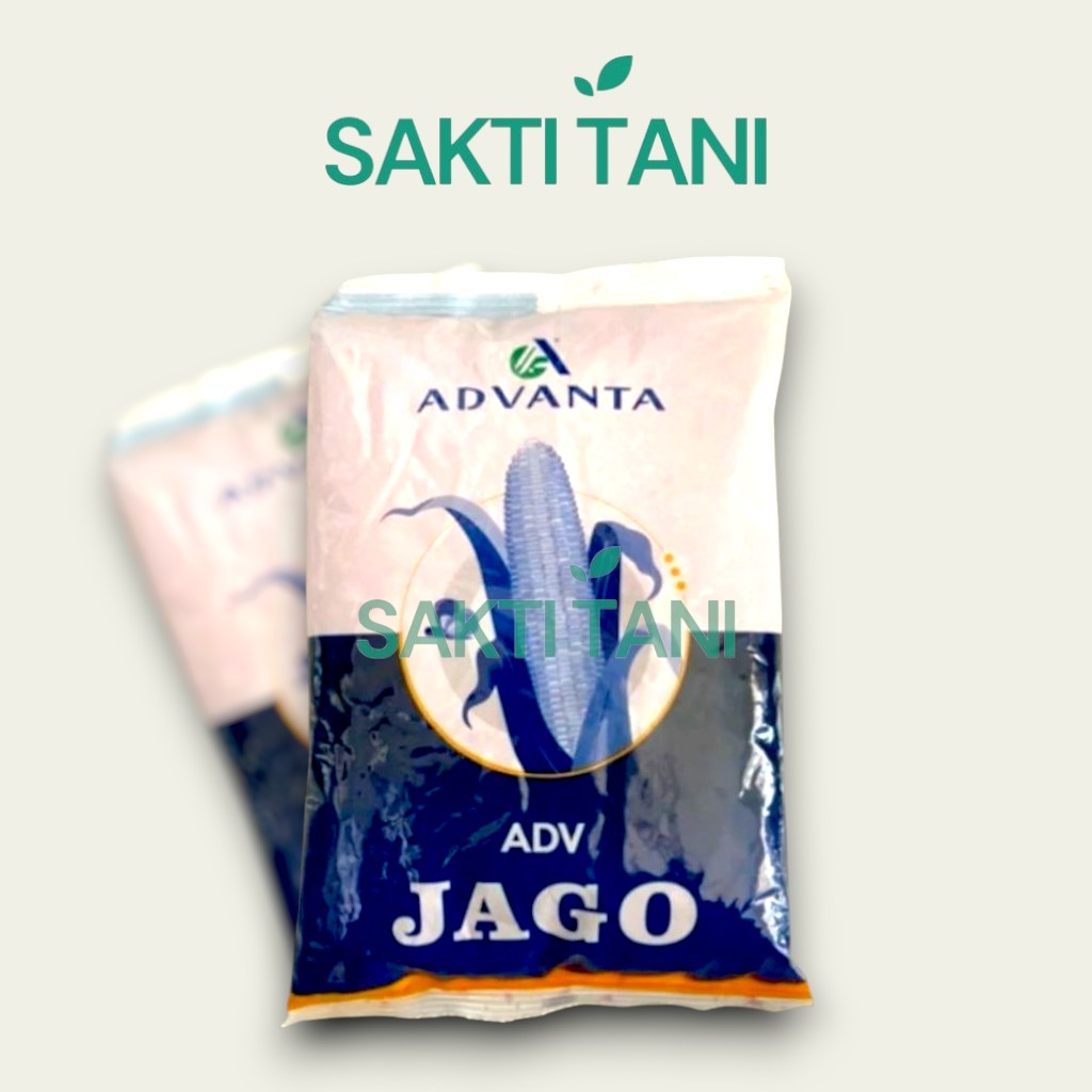 Benih bibit jagung advanta ADV JAGO 1 kg original