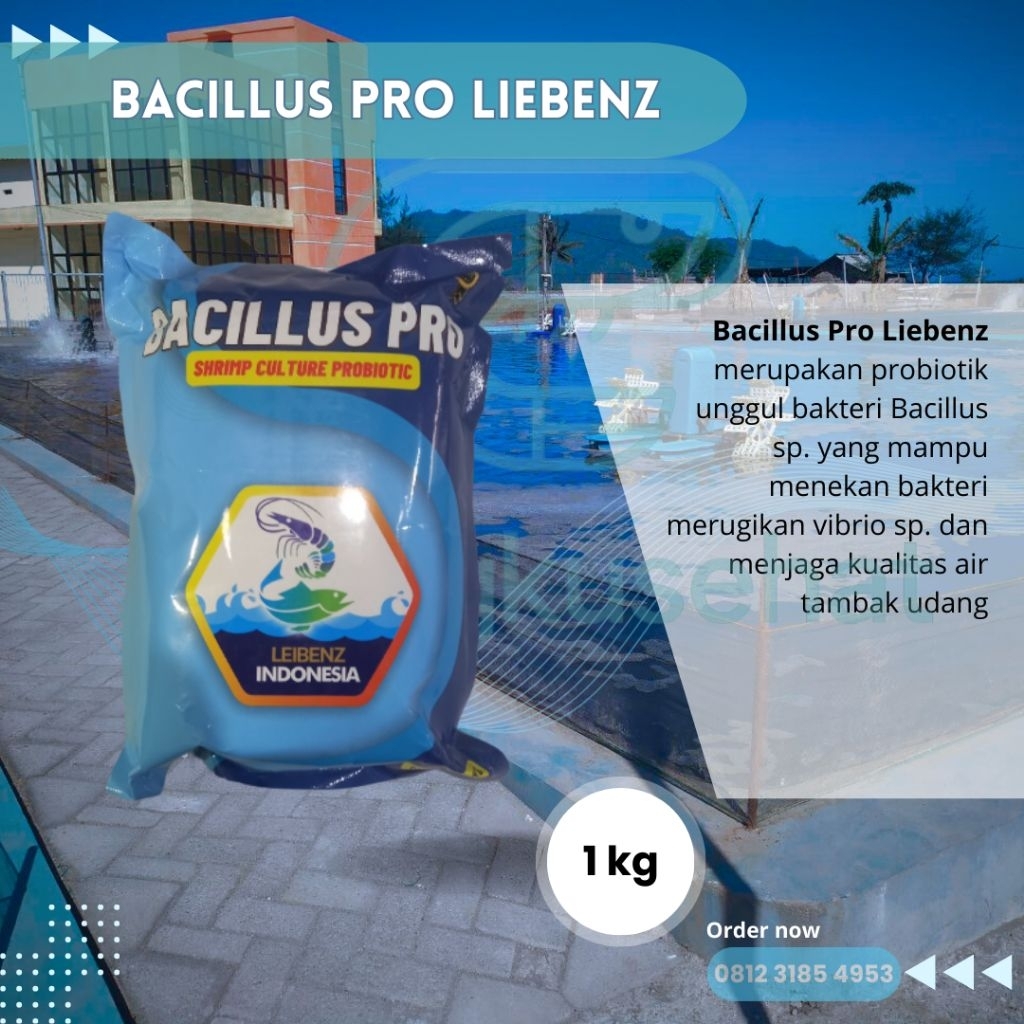 Bacillus Pro Liebenz = Quickpro Direct Takeshu Menekan pertumbuhan Vibrio