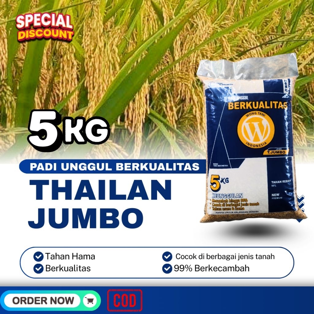 PADI Unggul Thailand Jumbo