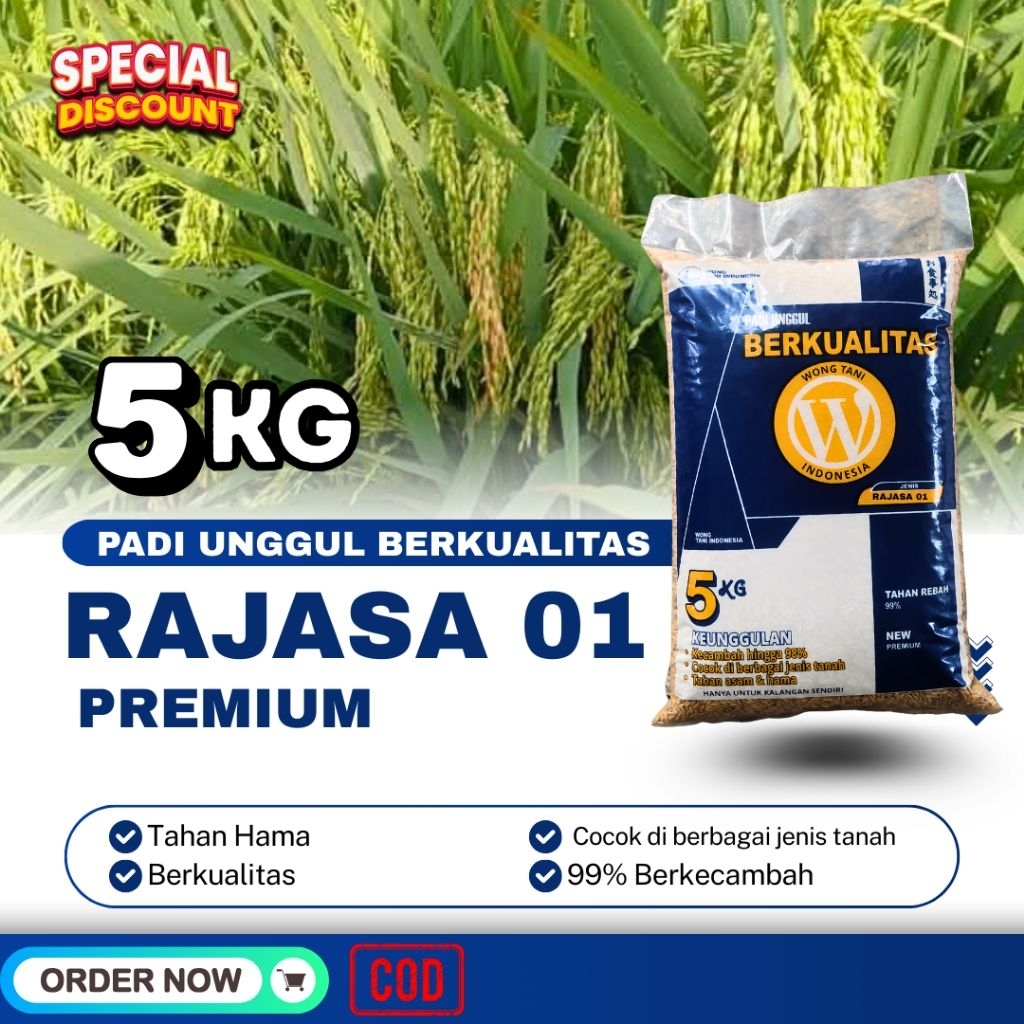 BENIH PADI UNGGUL RAJASA 01 5KG