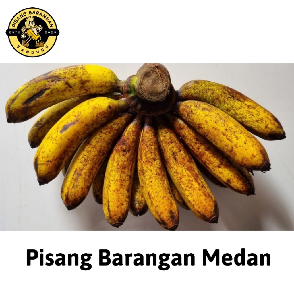 

Pisang Barangan Medan Asli Manis Segar 2KG (KIRIM INSTAN)