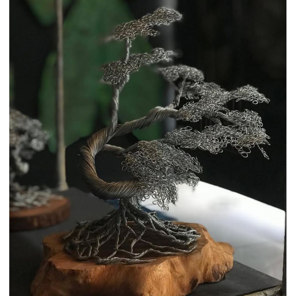 Pohon Kawat Bonsai