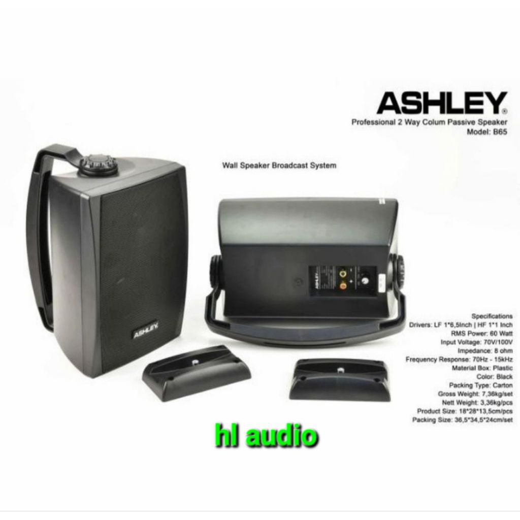 SPEAKER ASHLEY PASIF B-65 ORIGINAL