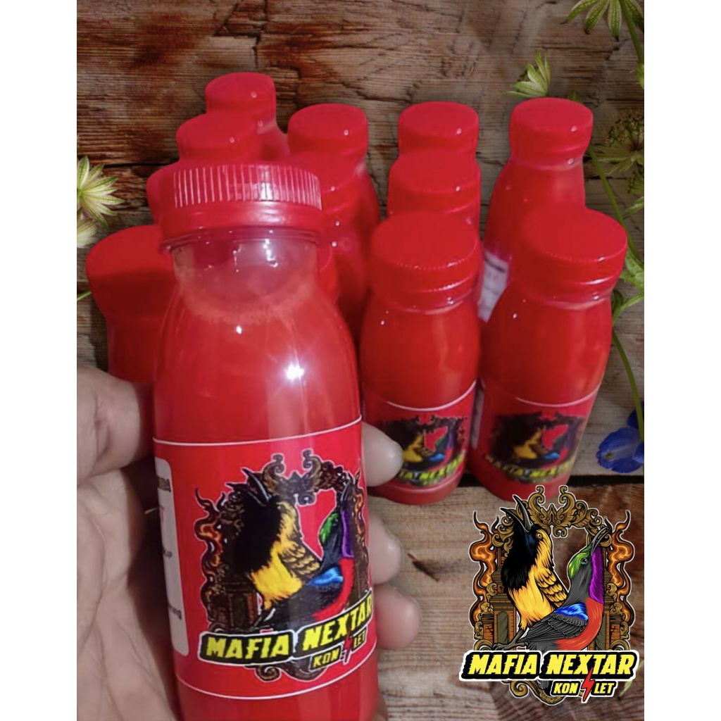 MAFIA NEXTAR PENGGACOR KOLIBRI NINJA,SOGON DAN BURUNG PEMAKAN NEKTAR