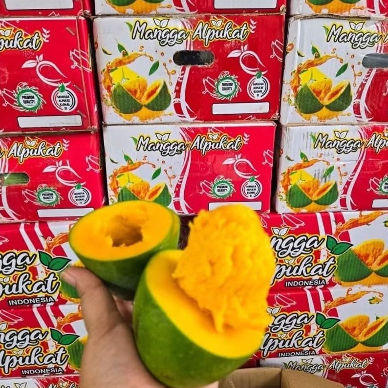 MANGGA ALPUKAT 1 DUS 5kg