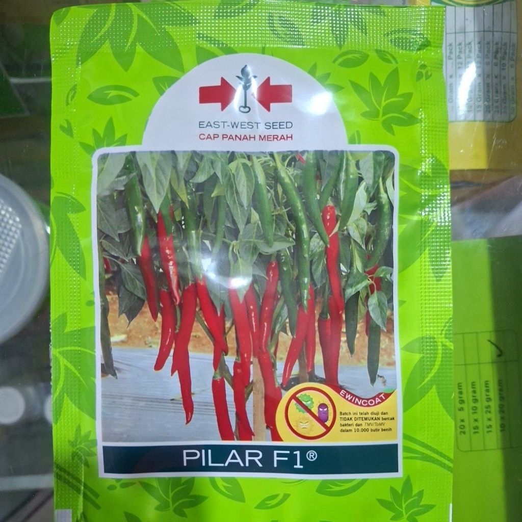BENIH CABE BESAR PILAR F1, 1.500 BUTIR