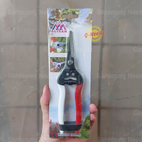 Gunting Dahan / Gunting Ranting / Gunting Seng ALISAN LURUS