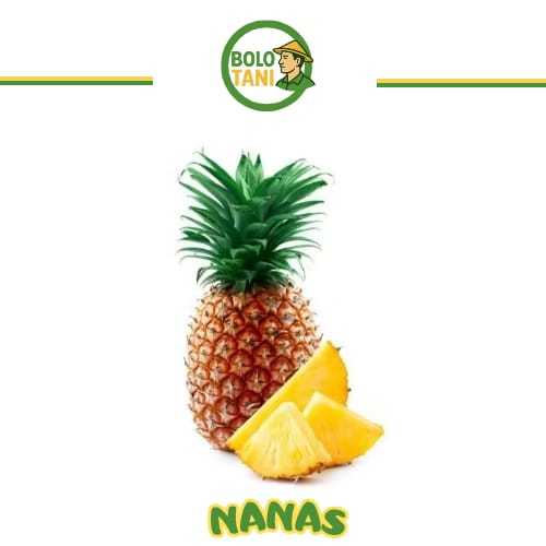 

Nanas 1 buah Utuh Manis
