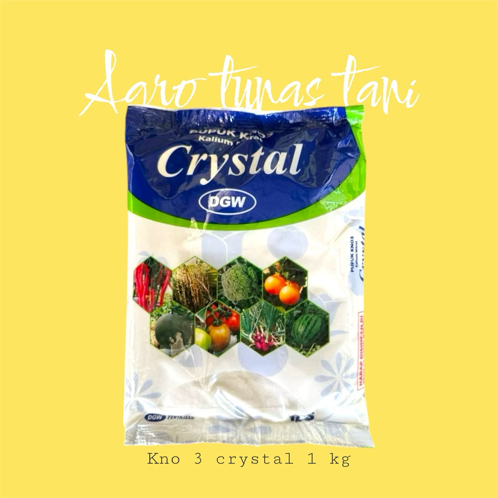 Pupuk Kno 3 Crystal DGW 1kg Pupuk Kno 3 putih