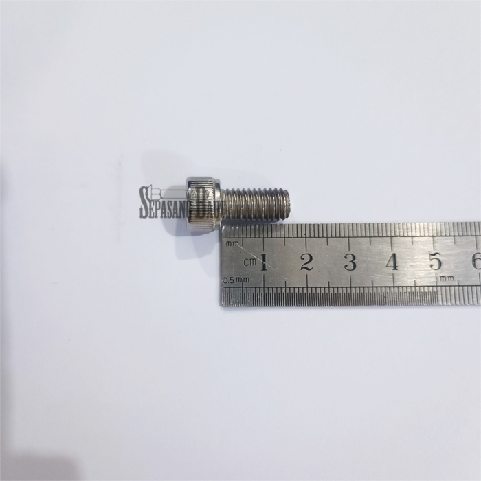 M8 x 15 Baut L Hex Head Socket Screw Stainless 304 M8x15