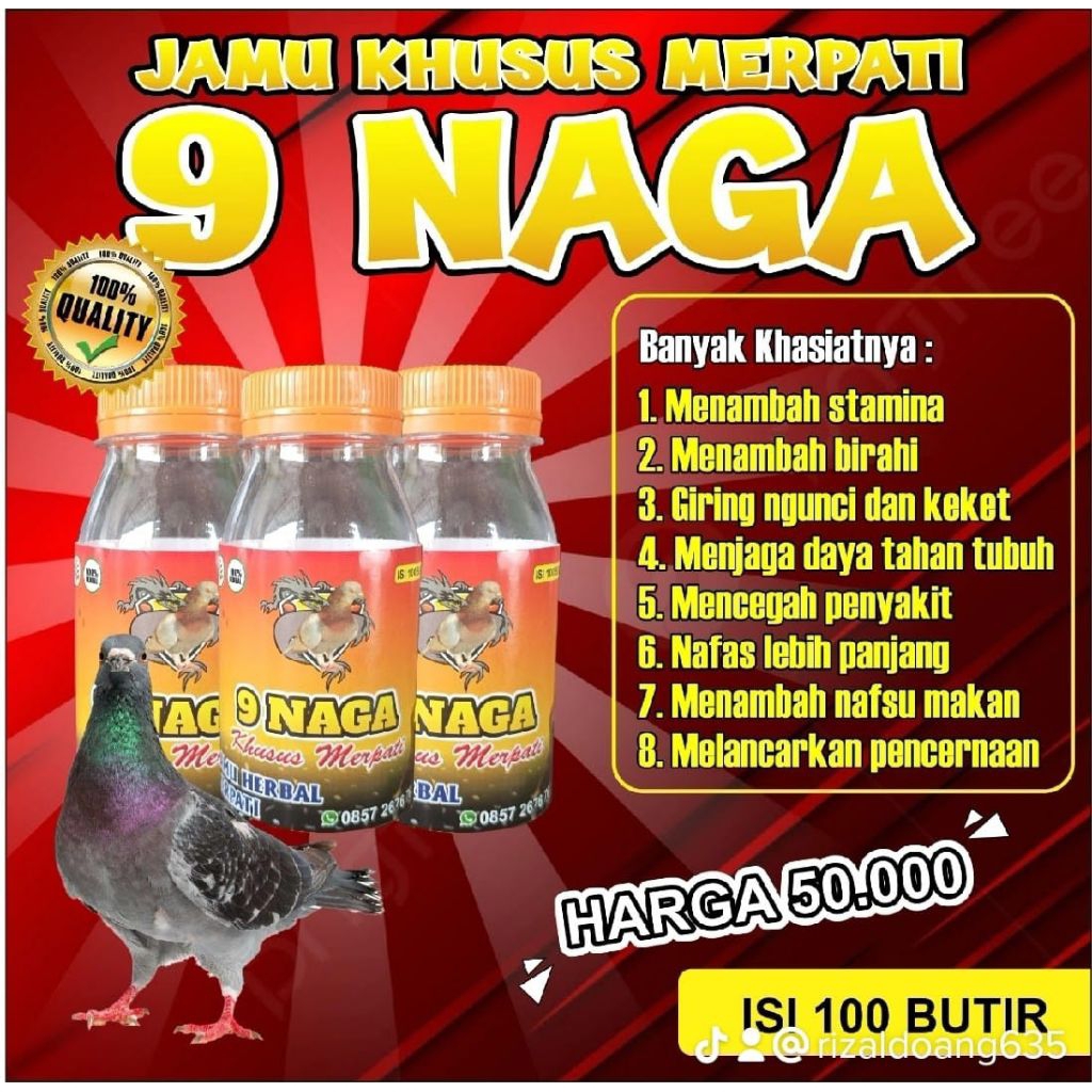Jamu Manuver Merpati Tinggi Nitik Turun Kencang