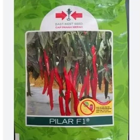 benih cabai merah pilar F1 isi 125butir /benih cabai cap panah merah
