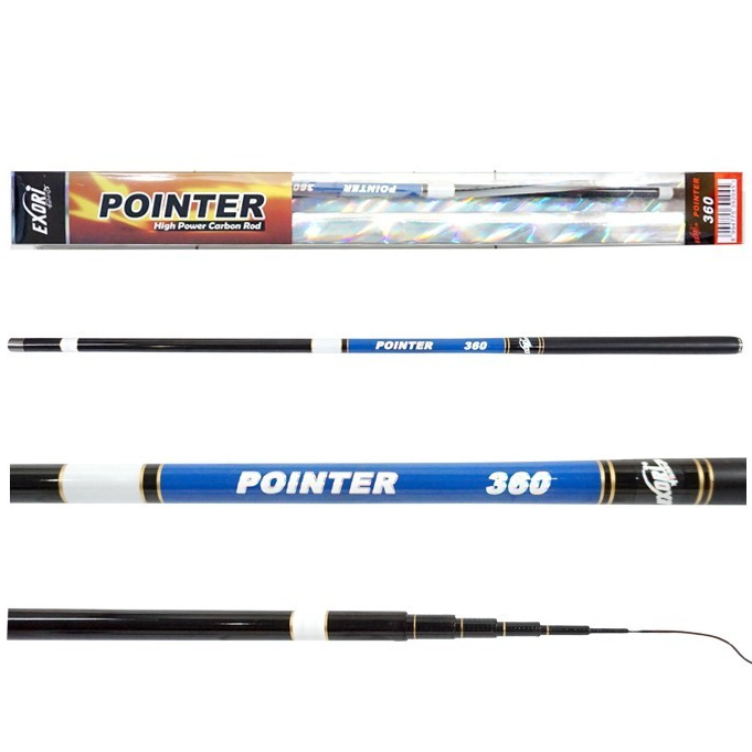 Joran Tegek Exori POINTER 450CM Carbon Action Medium