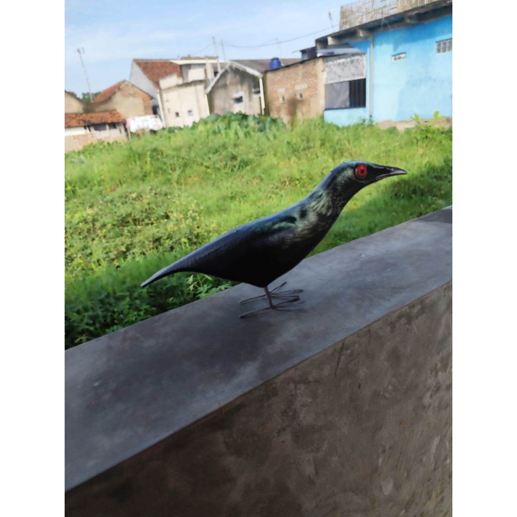 Jontrot boneka burung cucak keling / jontrot patung manuk geri mirip aslinya