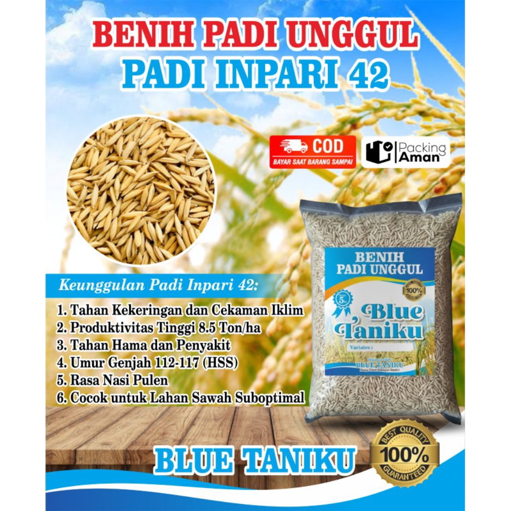 Benih padi inpari 42 original
