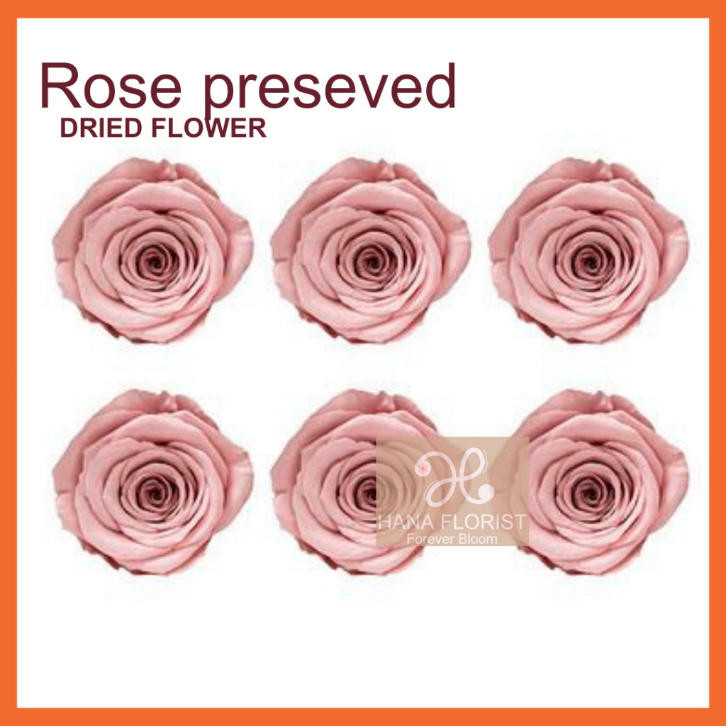1 box Preserved Rose 2 cm / Bunga Mawar Preserved/ Rose Dried Flower