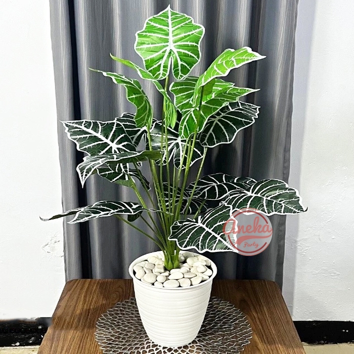 Daun Keladi Talas 18 cabang / Tanaman Keladi Talas / Daun Aglonema Plastik Bunga Hias Artificial