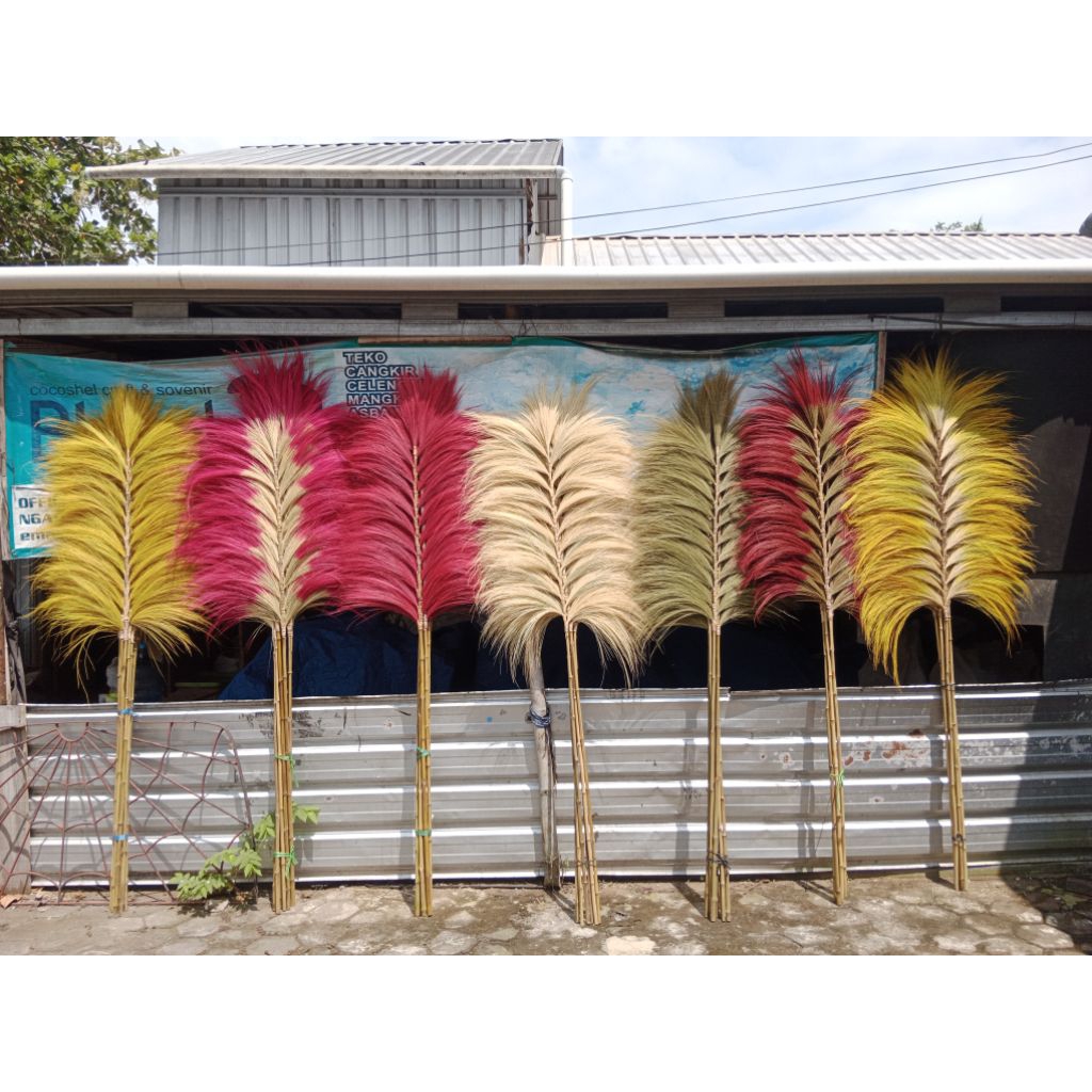 HOME DECOR RAYUNG/Gratis extra packing/stik rumput rayung/Home decor Rayung lebat