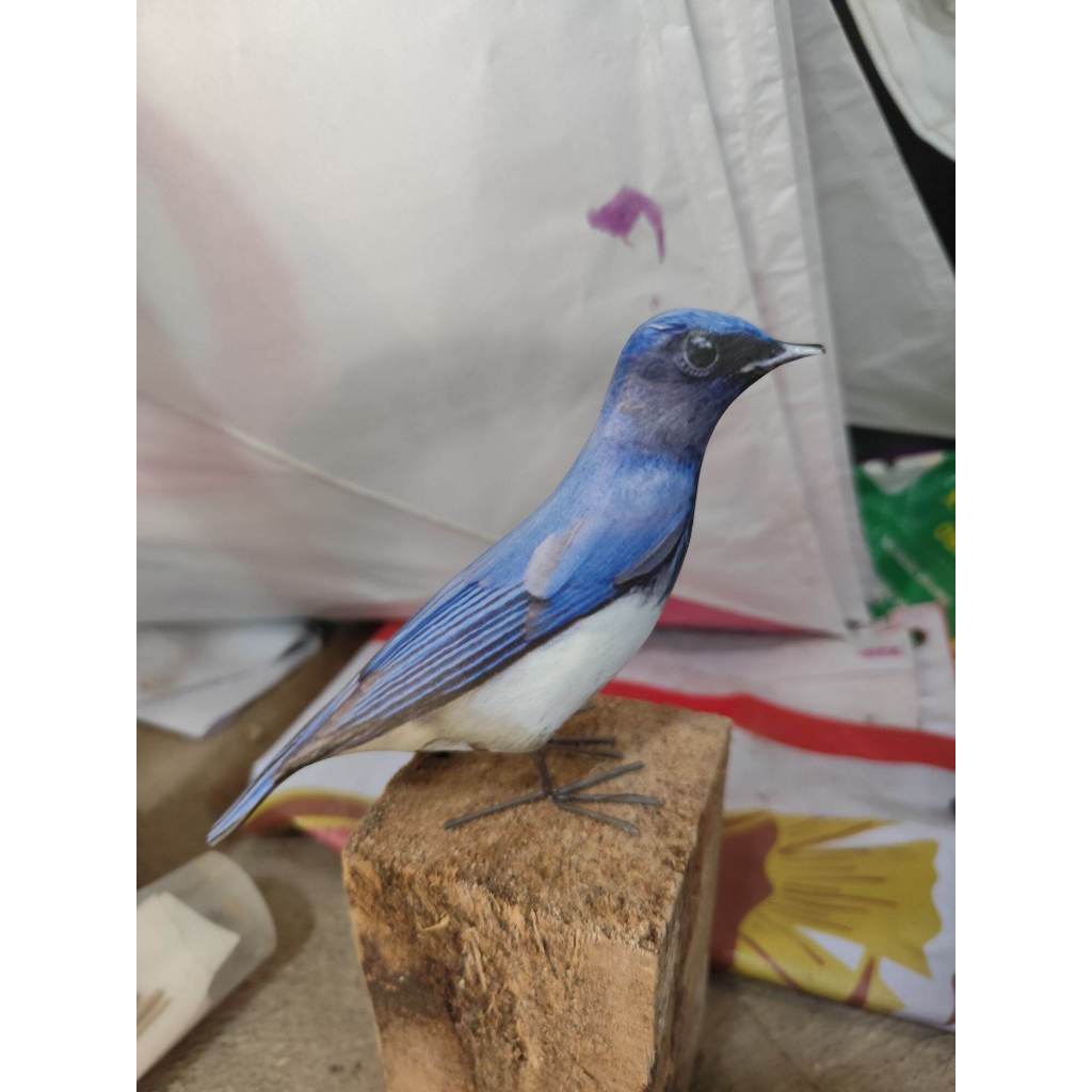 Jontrot patung burung tledekan laut / jontrot manuk solendang biru / selendang laut