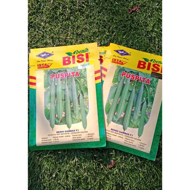 Benih gambas f1 puspita 10gr