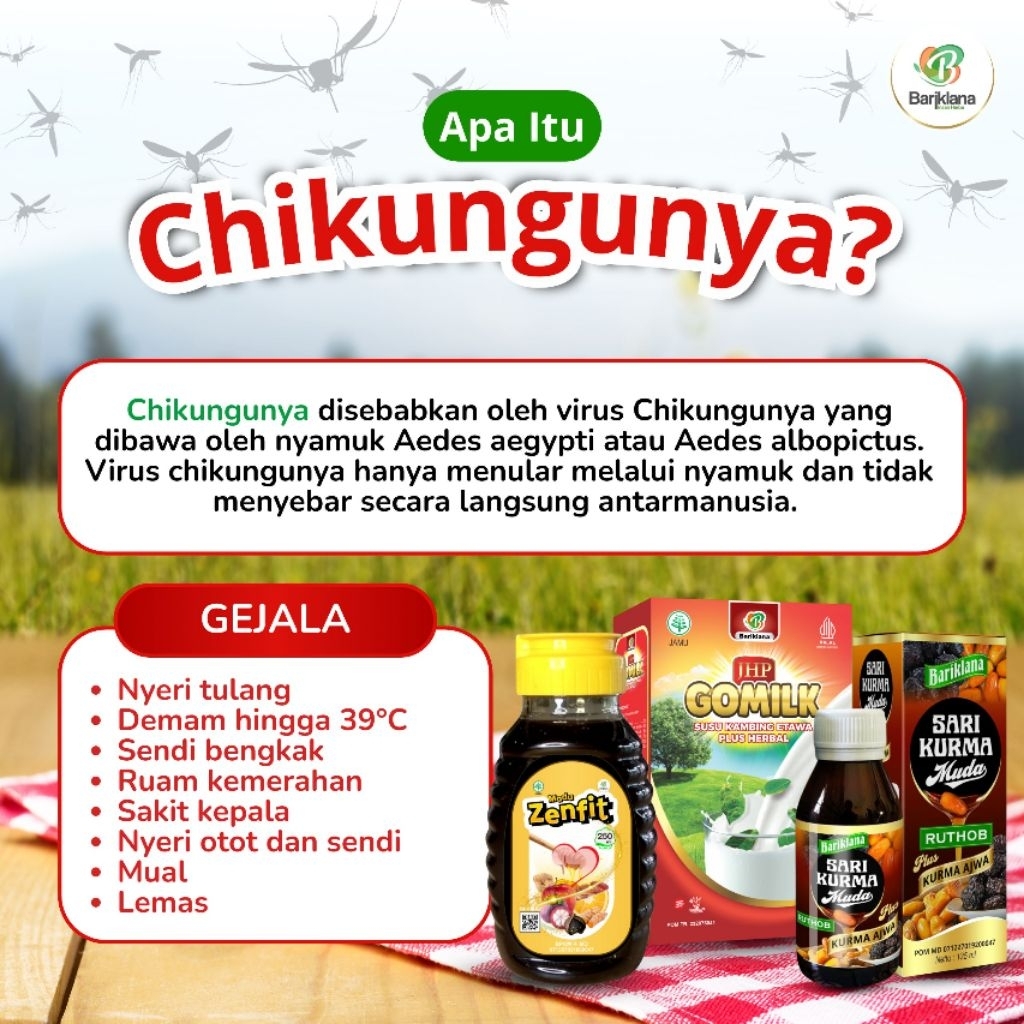 Sari Kurma Ajwa plus ruthob