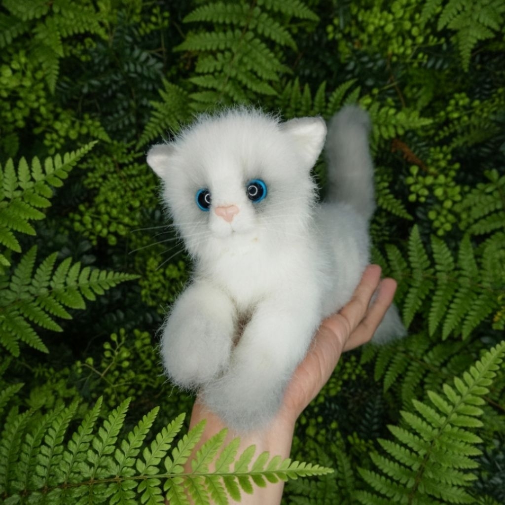 Boneka Anak Kucing Ragdoll Bicolour Import Inggris Original Pet Cat Kitten Kitty Mirip Asli Plush St