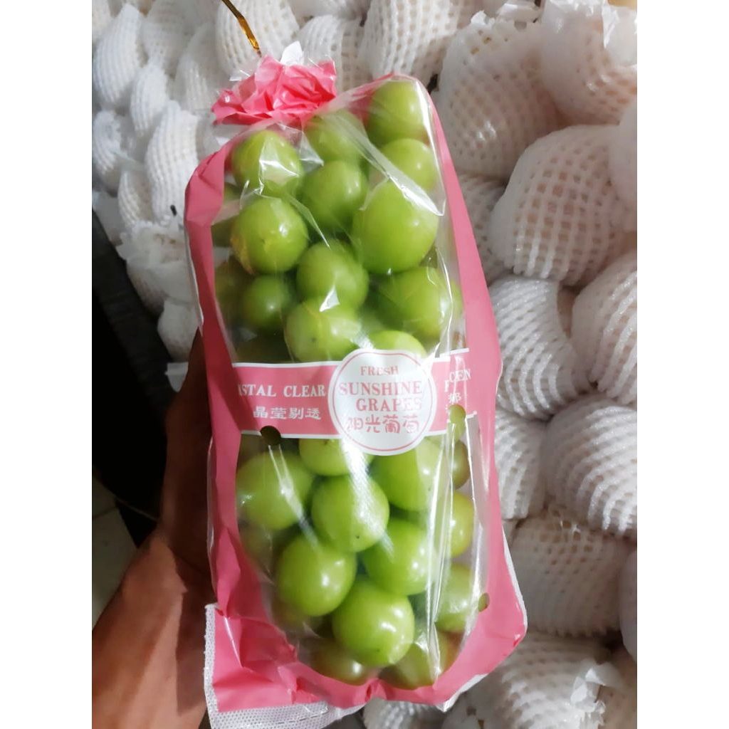 Anggur Shine Muscat | Sunshine Grapes / Kg
