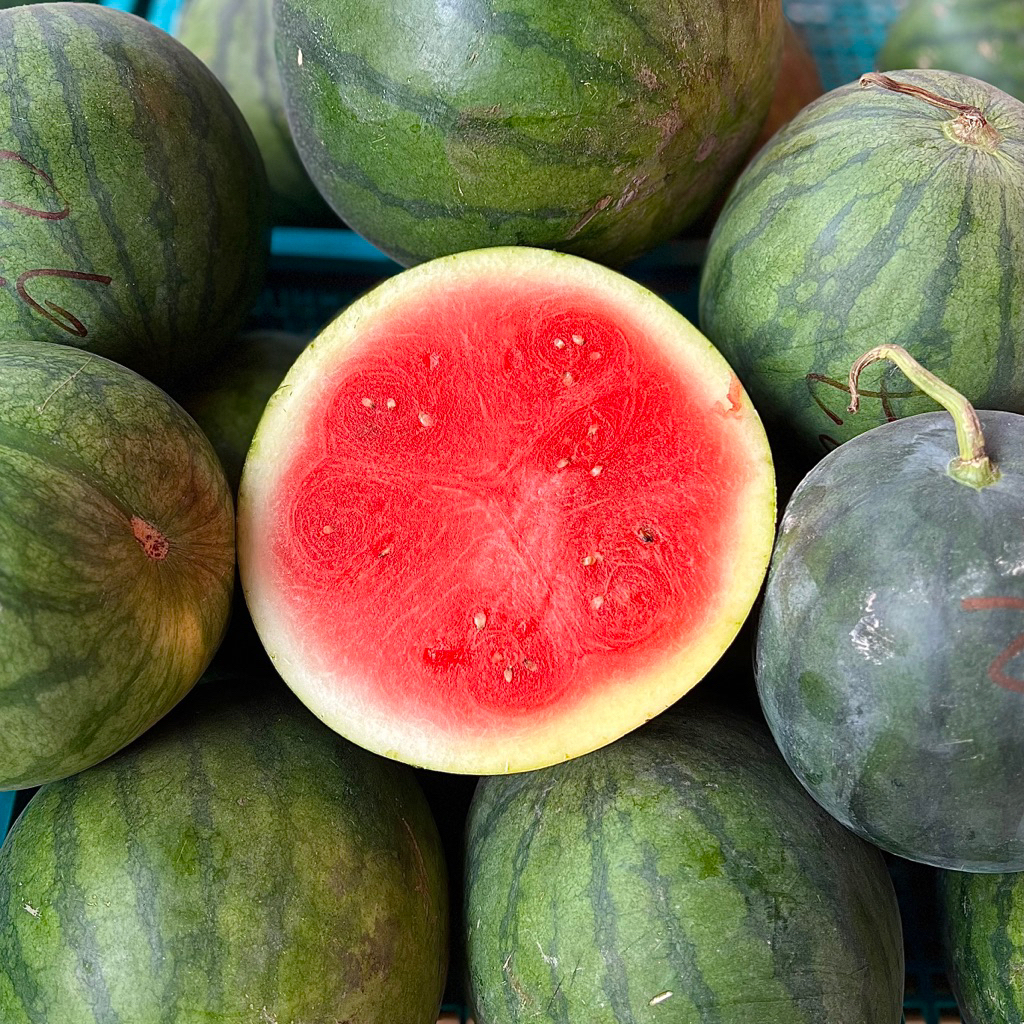 SEMANGKA NON BIJI 1 BUAH - SEGAR Watermelon