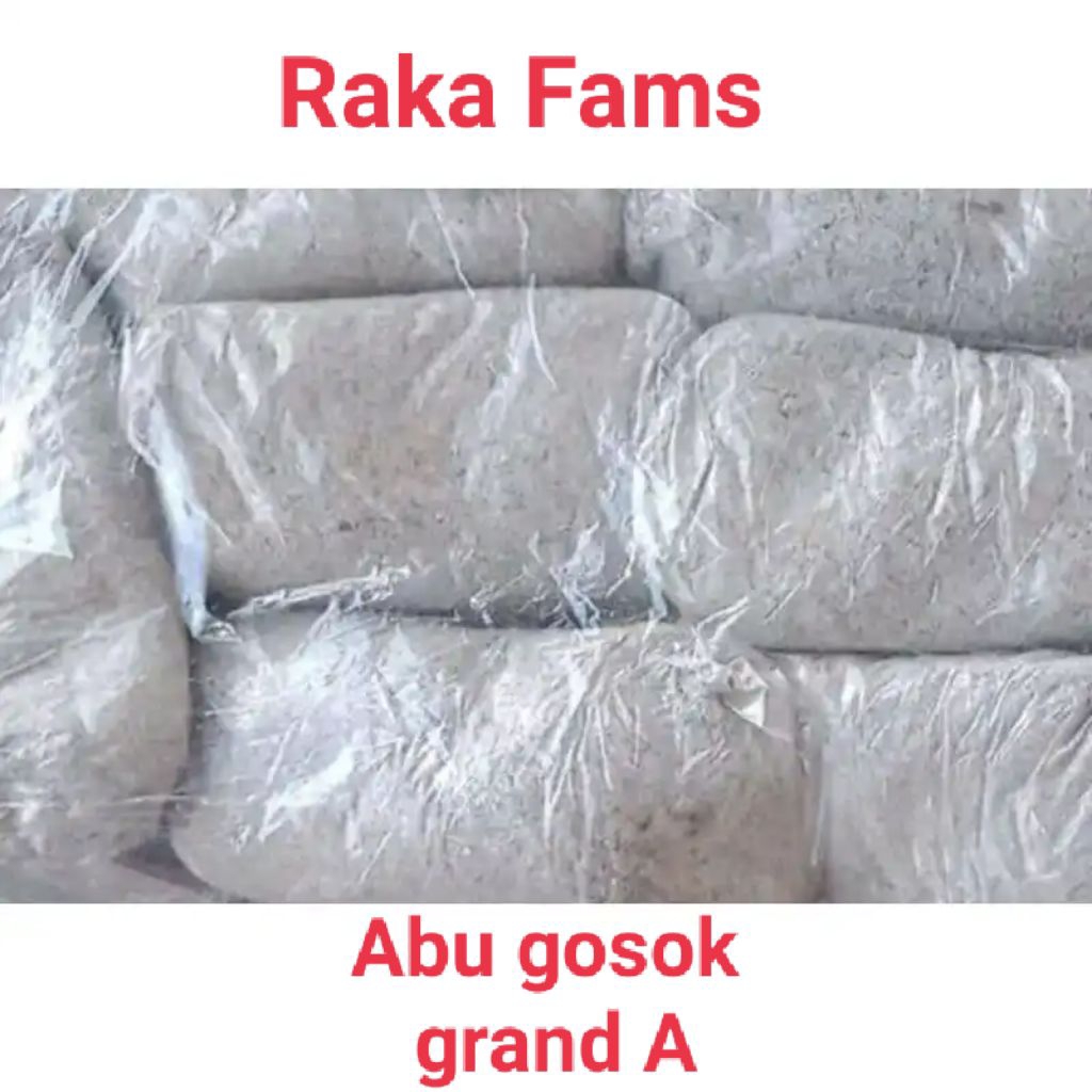 abu gosok abu bakar abu