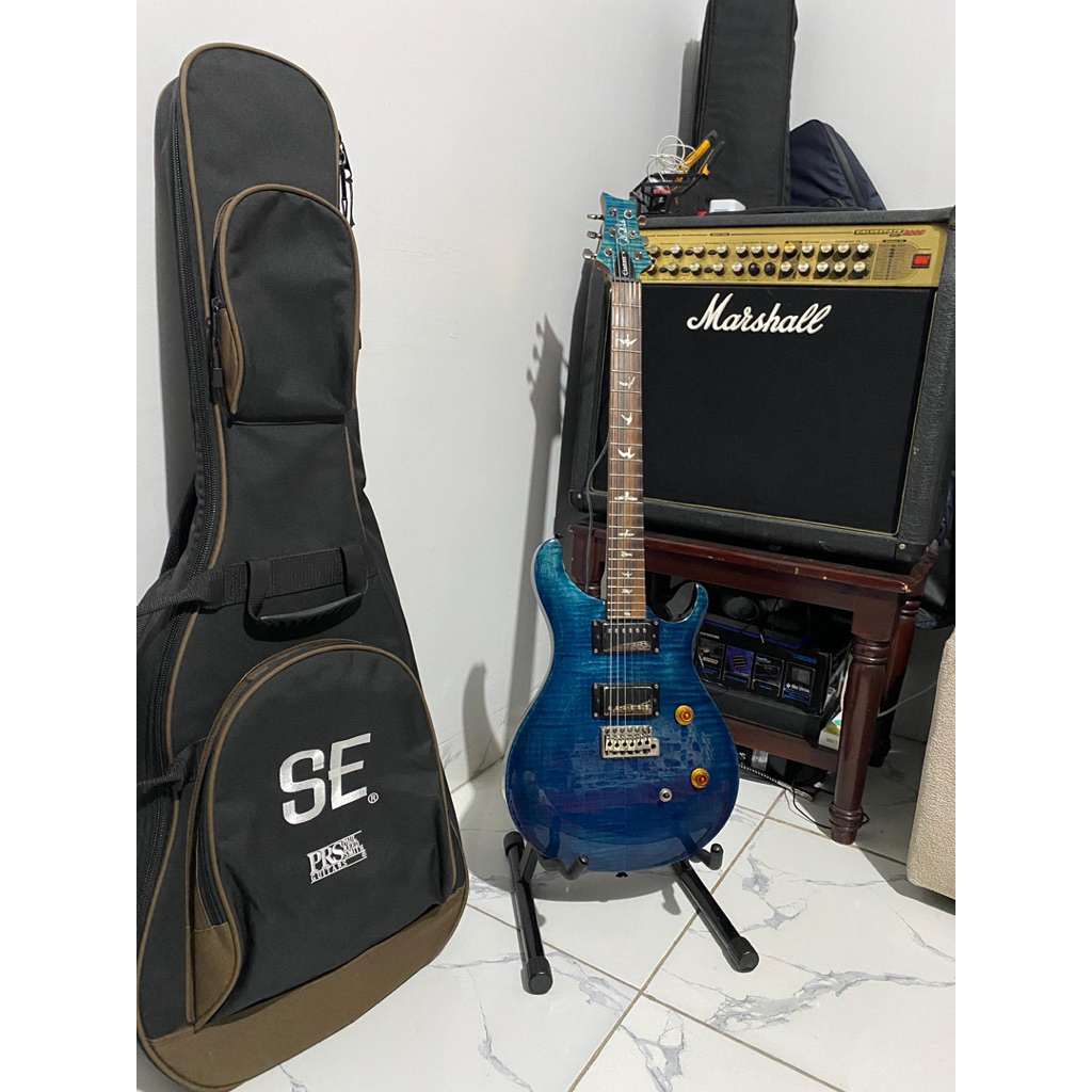 PRS SE custom 24