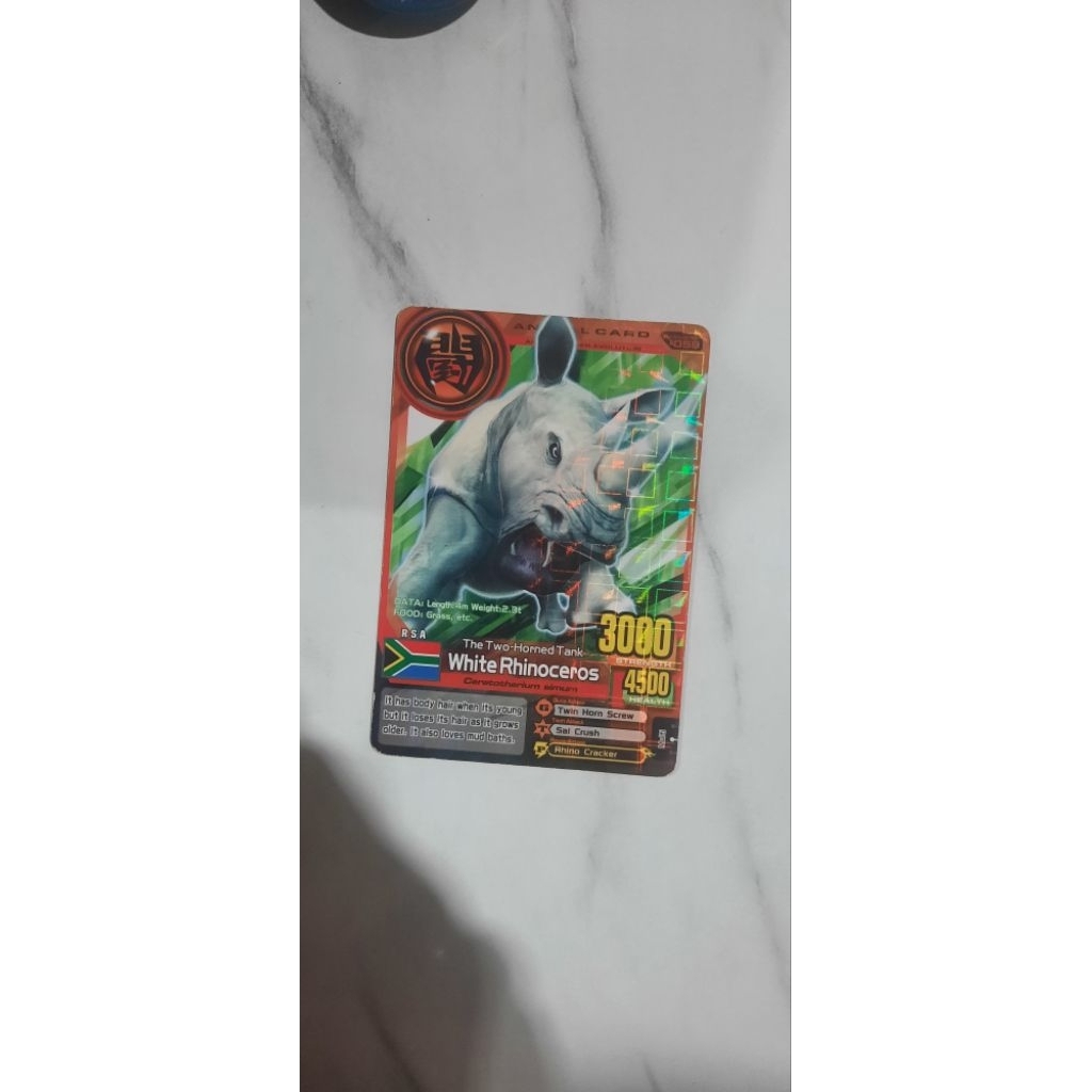 Kartu Animal Kaiser White Rhinoceros evo 1