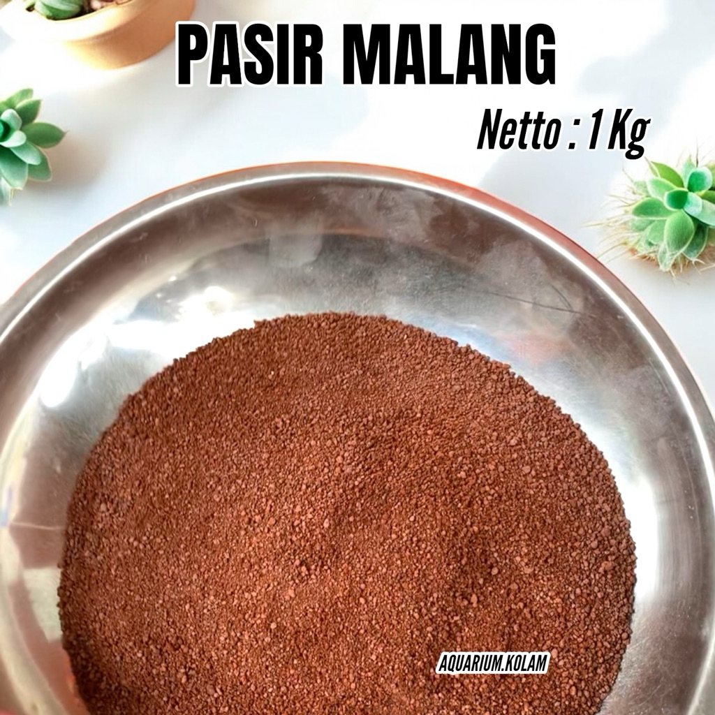 Aquarium Kolam | pasir malang super halus 0,5 2x ayakan media filter substrat merah hitam lembut