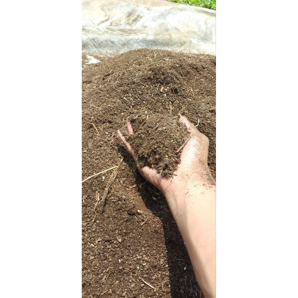 PUPUK KOTORAN KAMBING