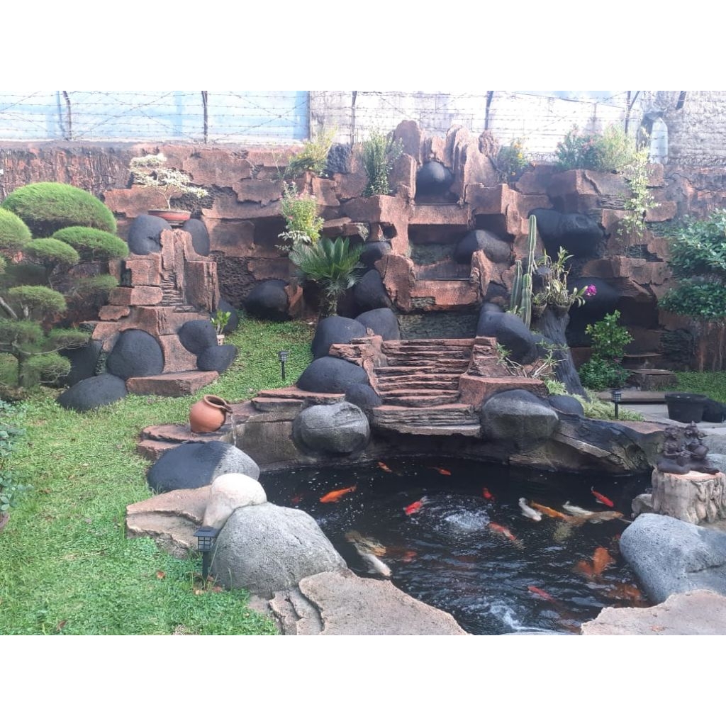 kolam koi natural/ kolam khususkoi