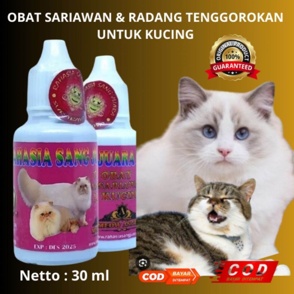 OBAT SARIAWAN DAN RADANG TENGGOROKAN UNTUK KUCING AMPUH KEMASAN 30 ml