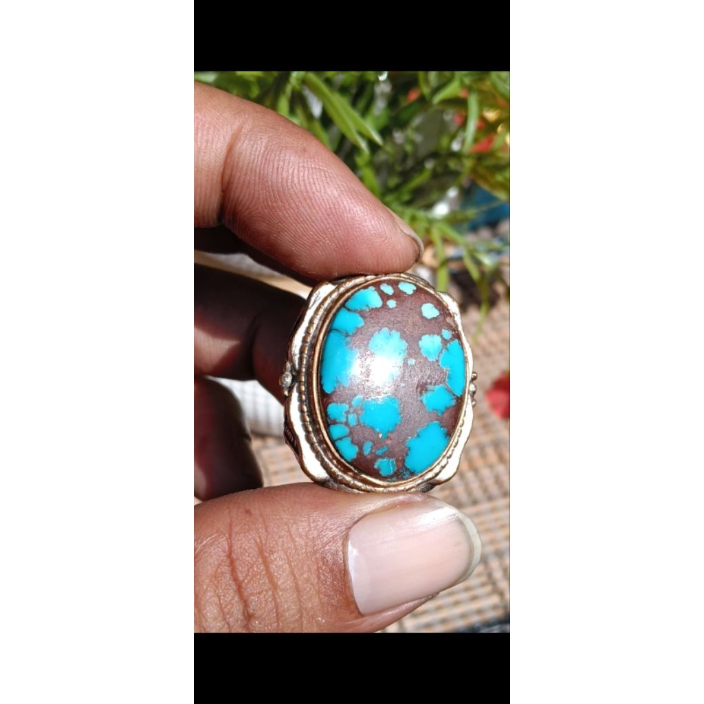 Natural pirus mesir biru gradasi