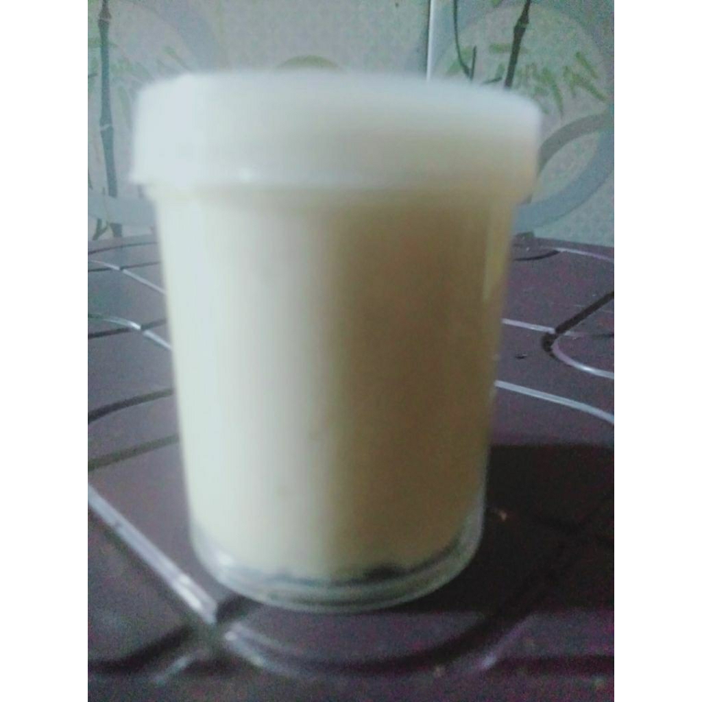 pulut burung siap pakai untuk pikat burung