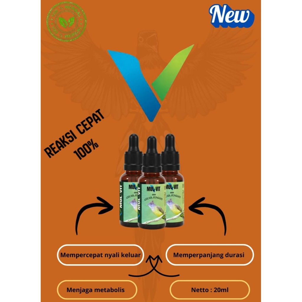 PENGGACOR BURUNG GACOR CUCAK JENGGOT COCOK DIGUNAKAN SETIAP HARI