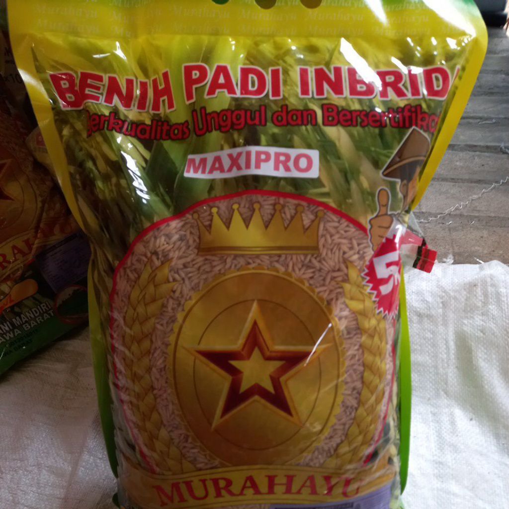 Benih Padi Inpari 32 MaxiPro Repack 1 kg